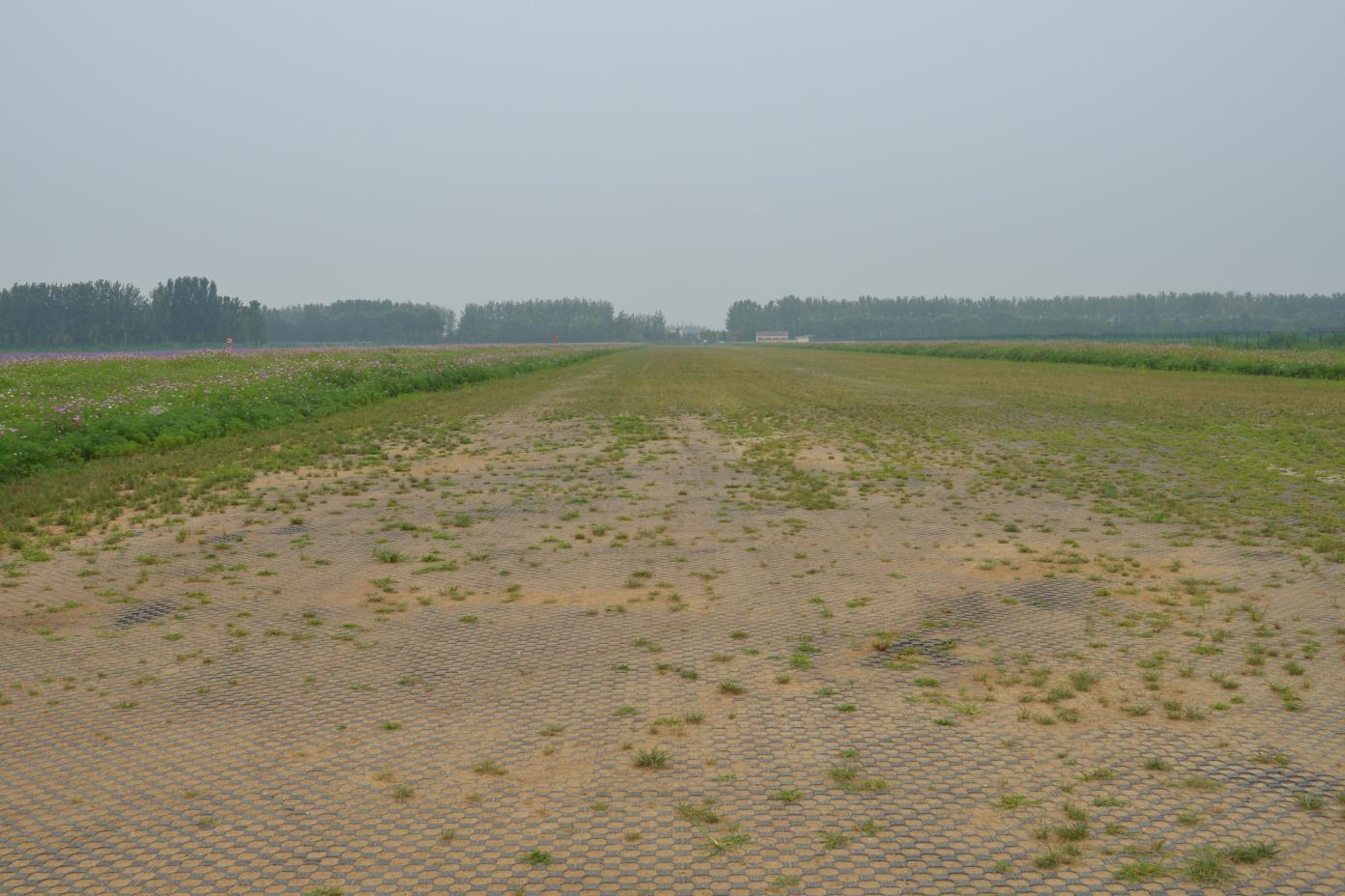 棗莊維權(quán)4.jpg
